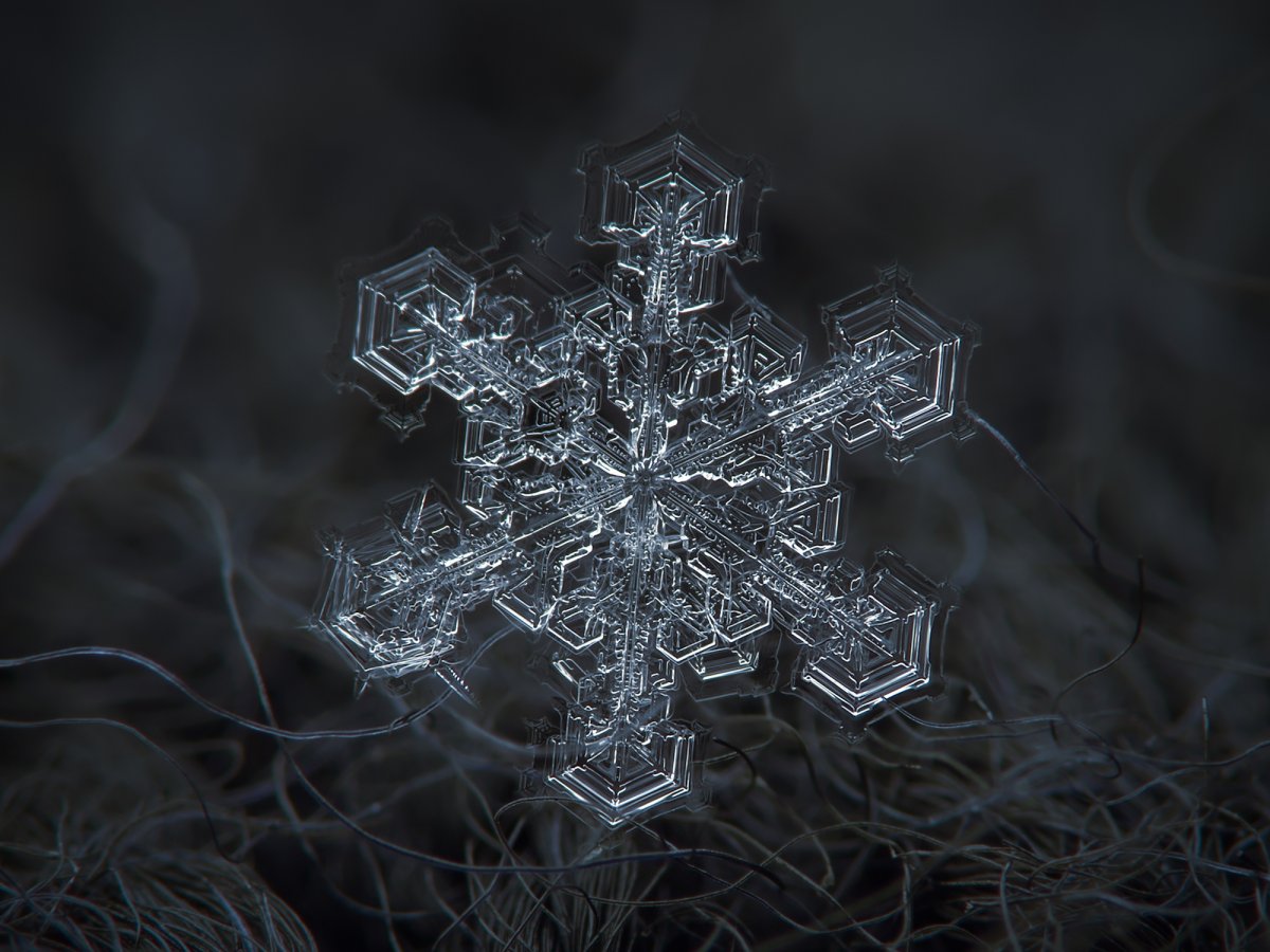 now-iknow-that-this-is-completely-wrong-he-wrote-every-photographer-with-simple-point-and-shoot-camera-can-take-very-good-snowflake-pictures
