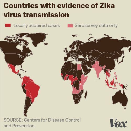 Zika_virus1.0