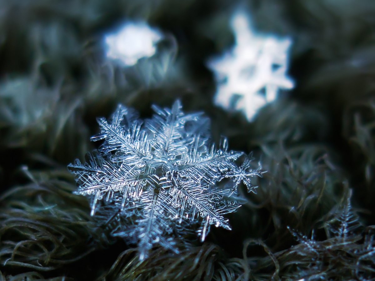 kljatov-said-he-usually-takes-8-to-10-pictures-of-each-snowflake